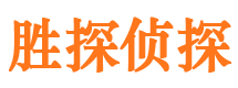 方山私人侦探